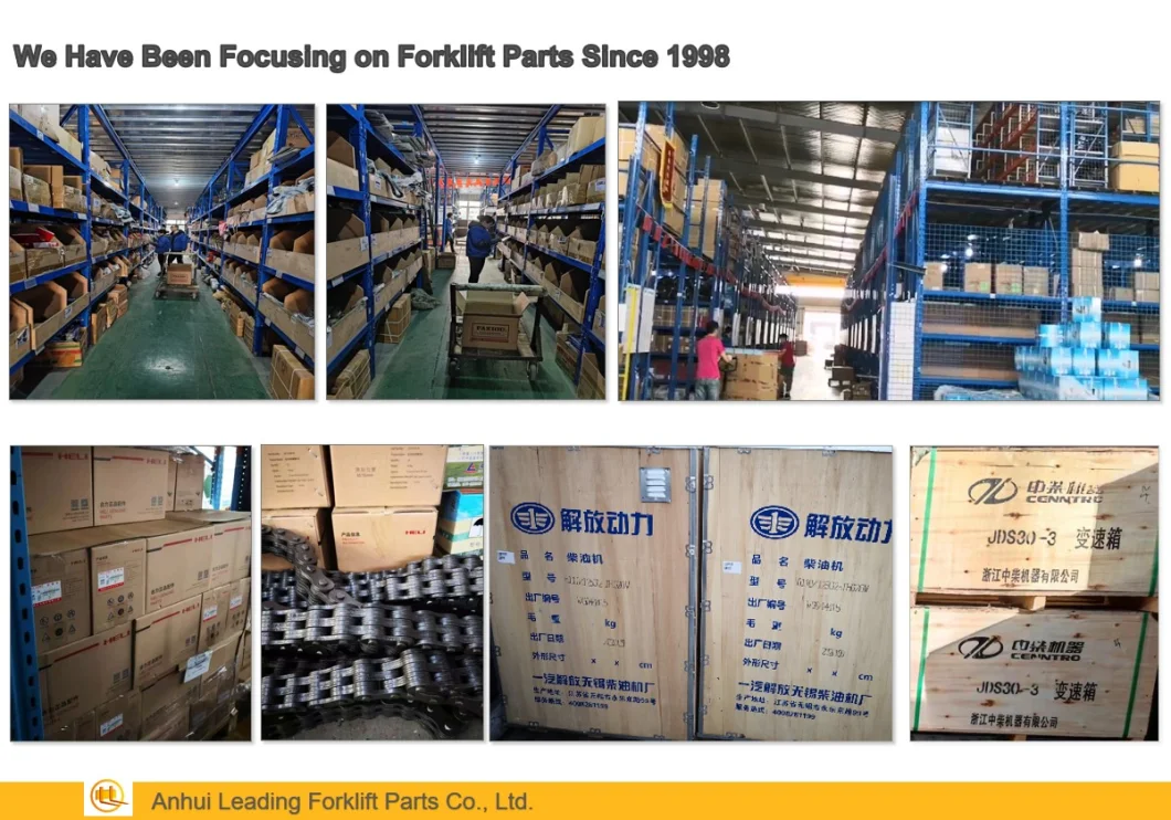 The Biggest China Forklift Parts Supplier with More Option